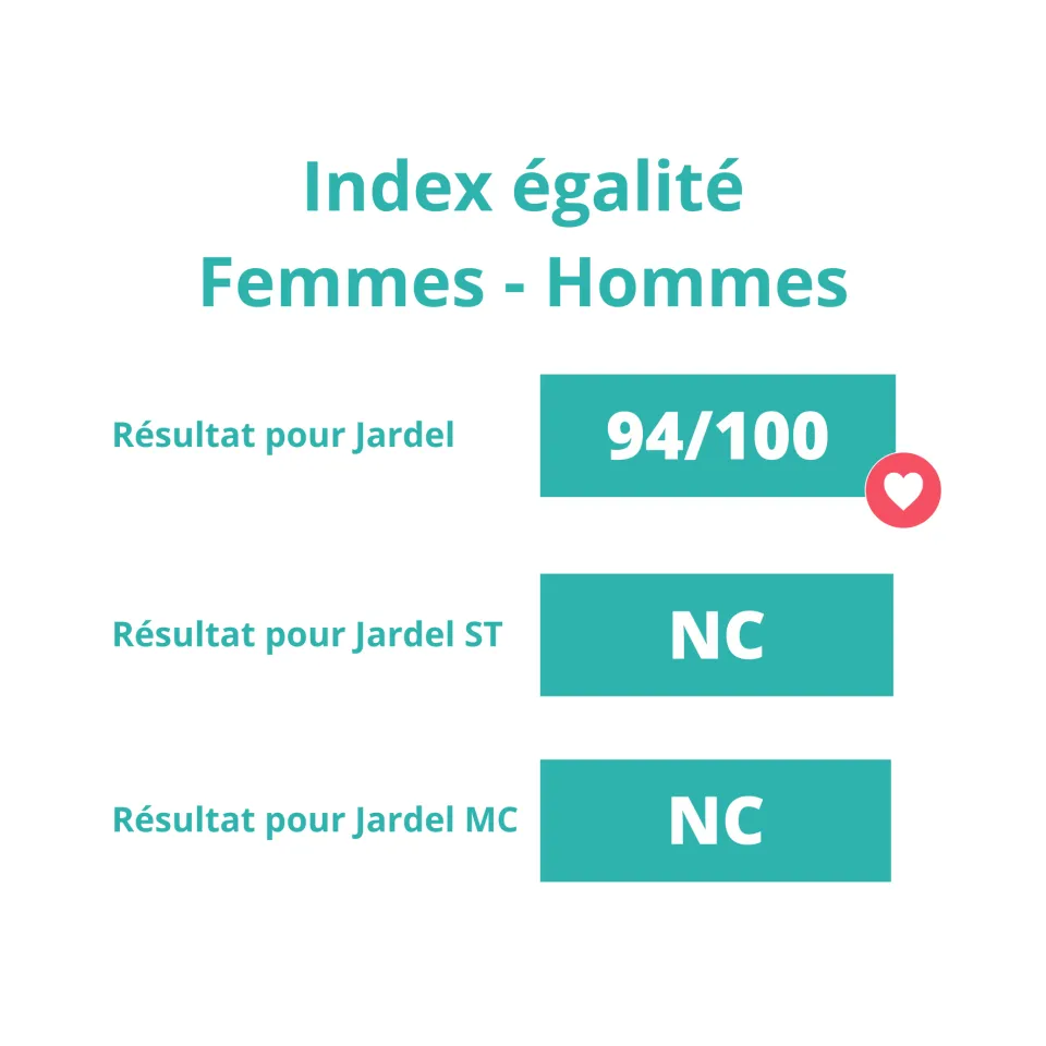 Index égalité femmes - hommes